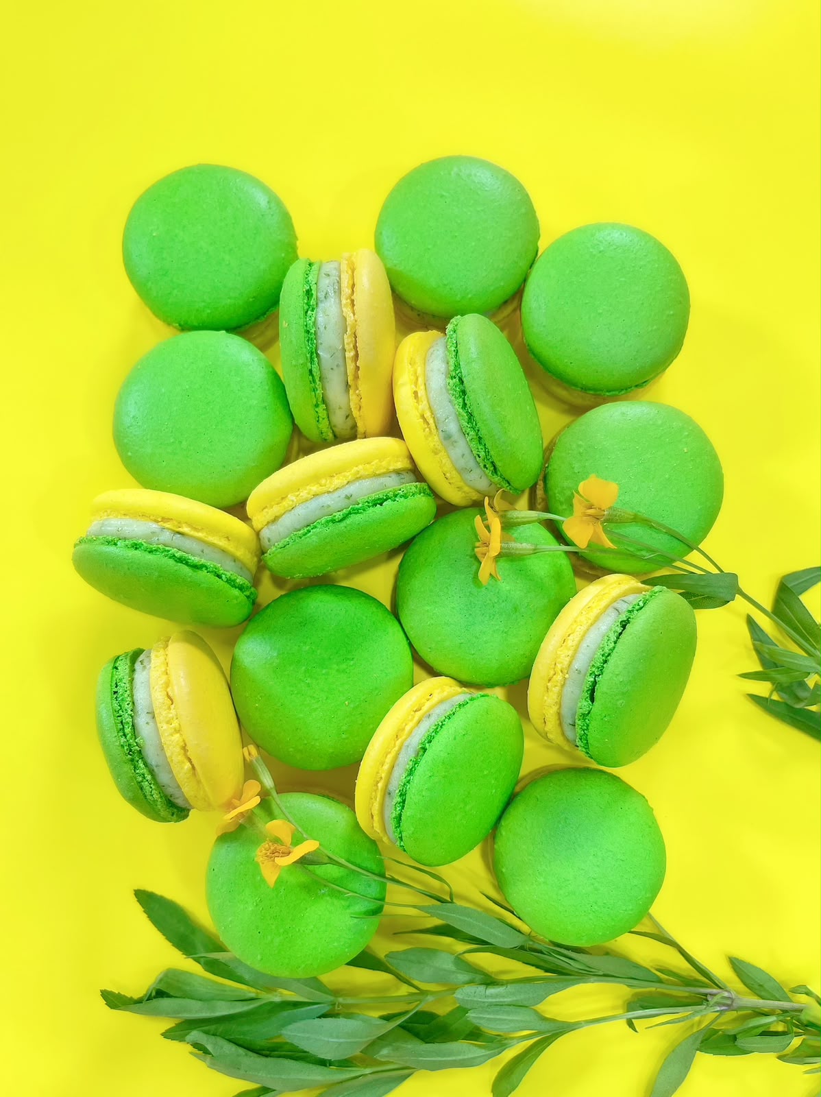 MACARONS